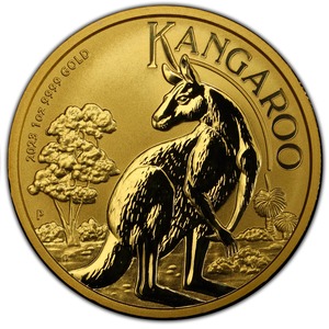 Australian Kangaroo